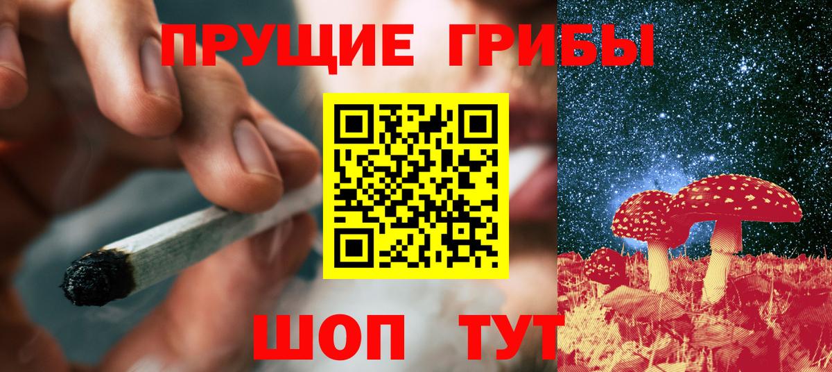 Галлюциногенные грибы мицелий  Вход с VPN  Сорочинск 